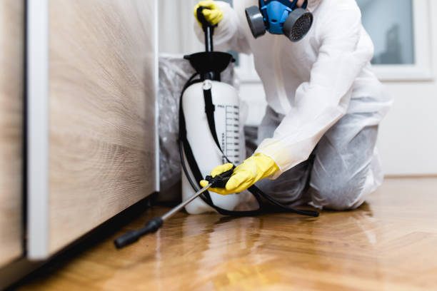 Best Mosquito Control Services  in Cedar Creek, TX