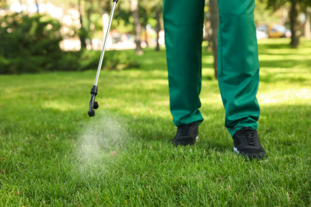 Best Rat Extermination Near Me  in Cedar Creek, TX