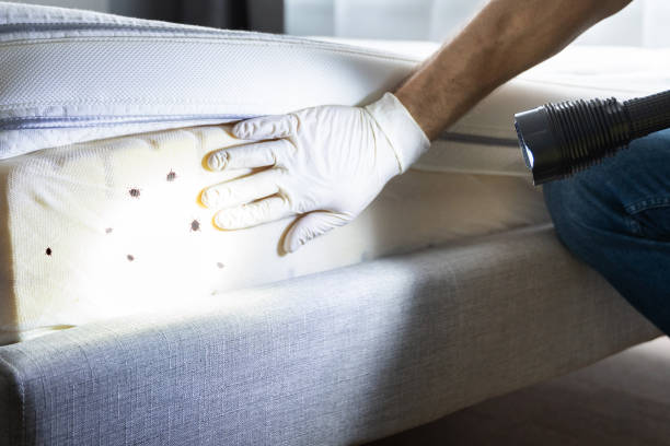 Best Pest Removal Services  in Cedar Creek, TX