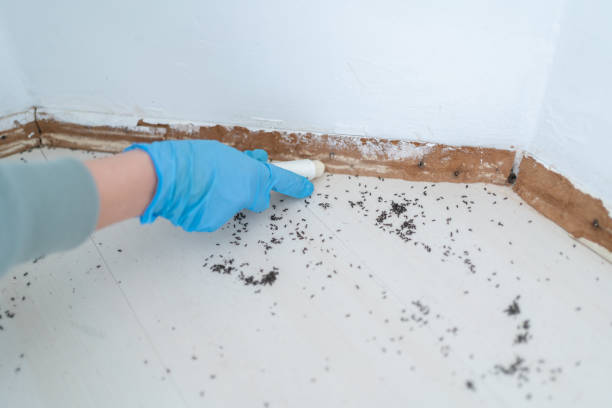 Best Pest Inspection Near Me  in Cedar Creek, TX